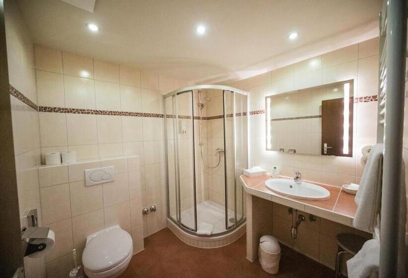 חדר סטנדרט יחיד, Waldeck Mit Restaurant Florian S