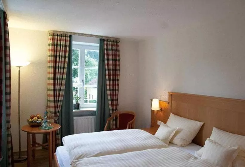 اتاق استاندارد, Landhotel   Hotel & Brauereigasthof Schneider