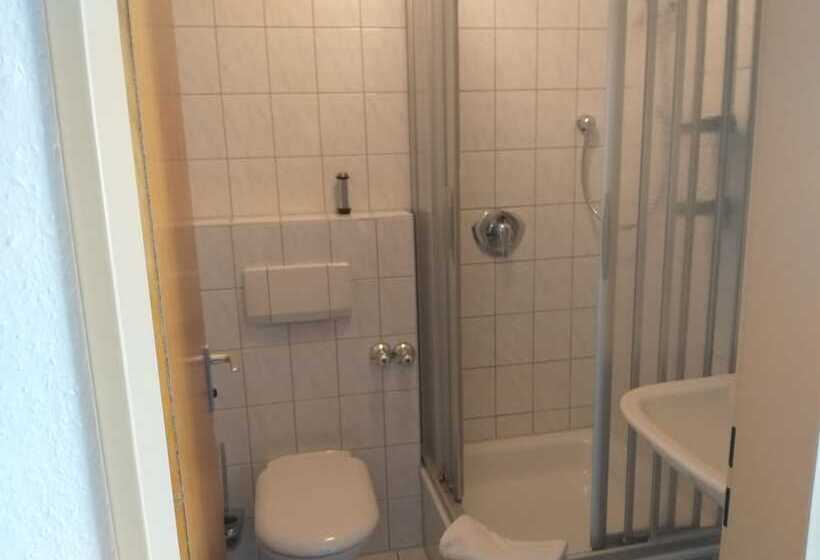 Номер Стандарт Индивидуальный, Gasthof Zur Sonne