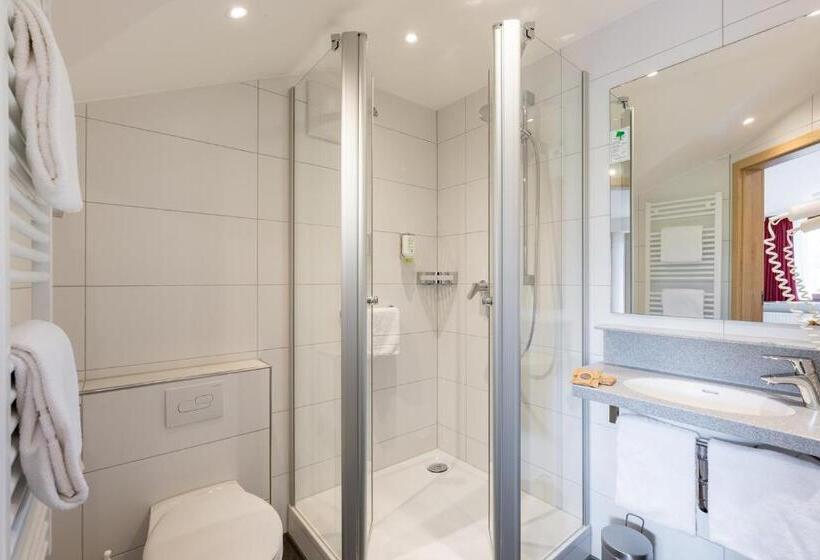 غرفة قياسية مطلة على الجبل, Familienhotel Löwen