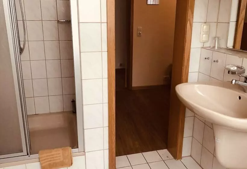 اتاق استاندارد یک نفره, Landgasthof Zum Schwarzen Roß