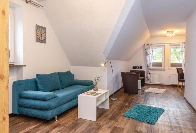 Апартаменты 1 Спальня, Pension Wittgensteiner Schweiz