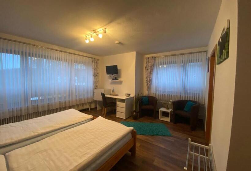 스탠다드 룸, Pension Wittgensteiner Schweiz