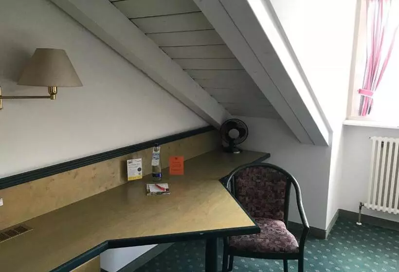 Standard Single Room, Stadthotel Berggeist