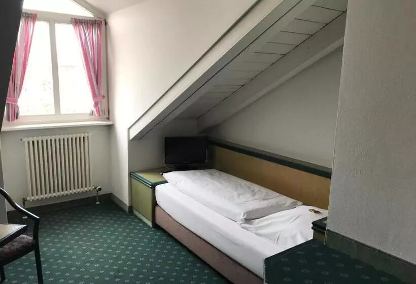 Standard Single Room, Stadthotel Berggeist