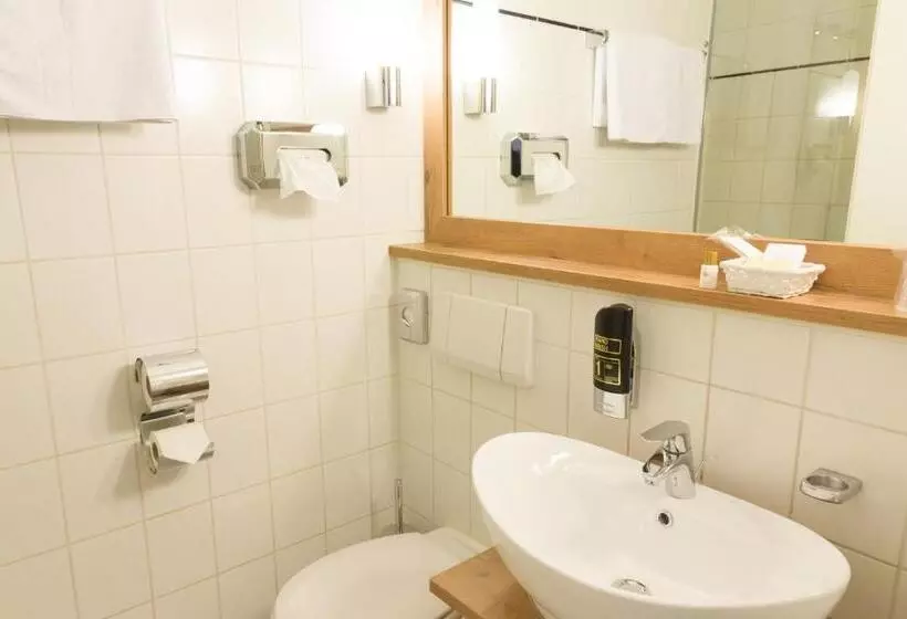 Standard Room, Stadthotel Berggeist