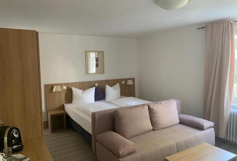 Номер Стандарт, Bodenseehotel Krone Und Historisches Aparthotel Gästehaus Des Hotel Krone