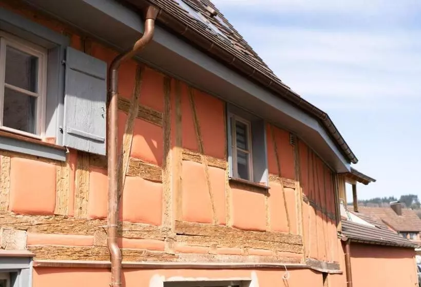 １階の１ベッドルームアパートメント, Bodenseehotel Krone Und Historisches Aparthotel Gästehaus Des Hotel Krone