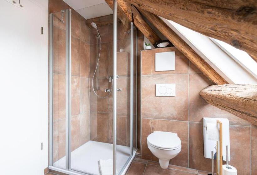 Апартаменты 1 Спальня, Bodenseehotel Krone Und Historisches Aparthotel Gästehaus Des Hotel Krone