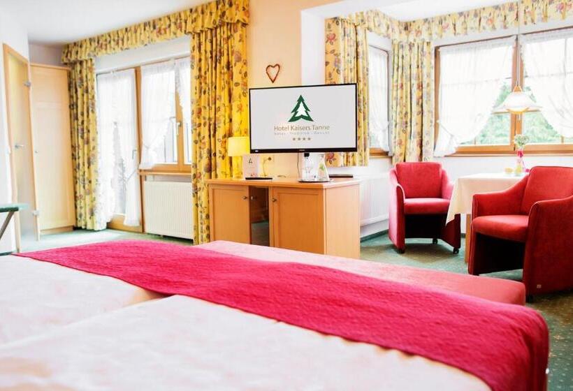 Номер Стандарт, Kaisers Tanne   Premium Alles Inklusive
