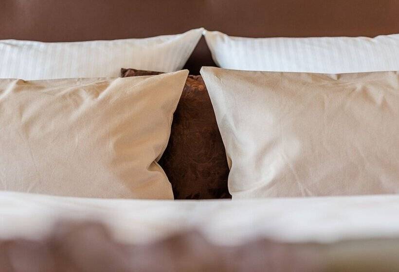 חדר סטנדרט עם טרסה, Romantik Hotel Ahrenberg