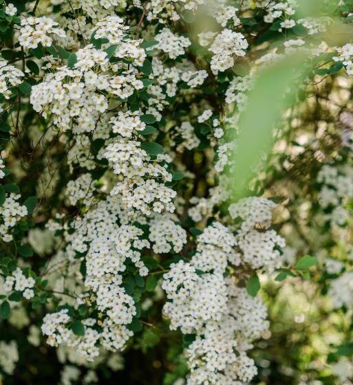 غرفة قياسية مزوَّدة بتراس, Romantik Hotel Ahrenberg