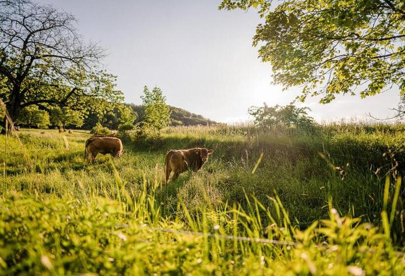 חדר סטנדרט עם טרסה, Romantik Hotel Ahrenberg