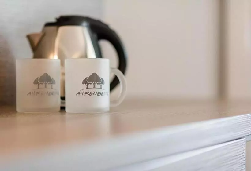 ビジネスルーム, Romantik Hotel Ahrenberg