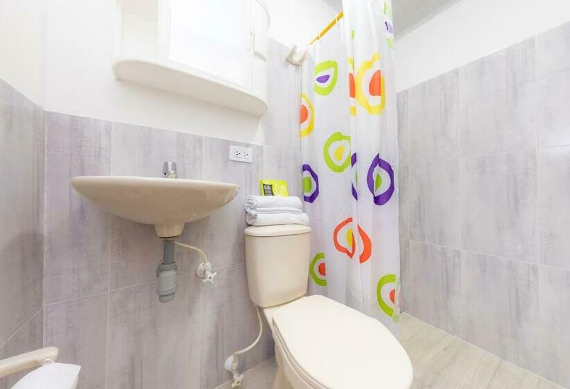 스탠다드 룸, Vegas Sergio