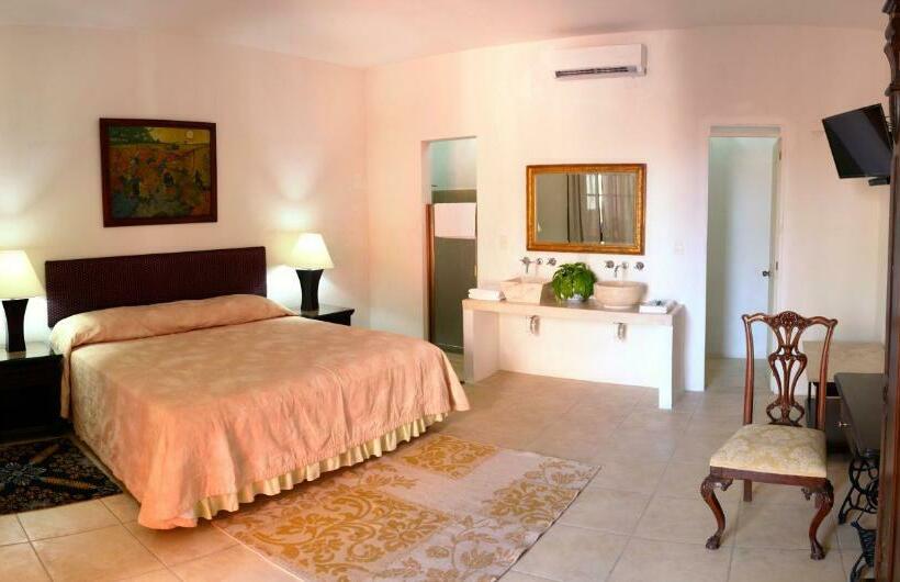 Cameră Standard, Mejorada Merida