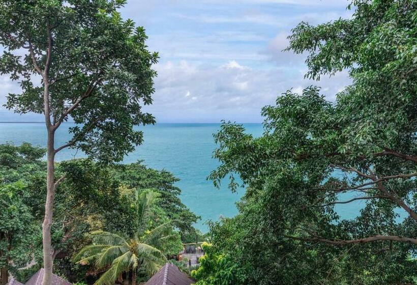 اتاق استاندارد یک نفره, Vikasa Yoga Retreat