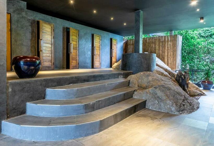 اتاق استاندارد یک نفره, Vikasa Yoga Retreat