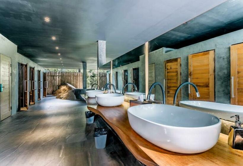 اتاق استاندارد یک نفره, Vikasa Yoga Retreat