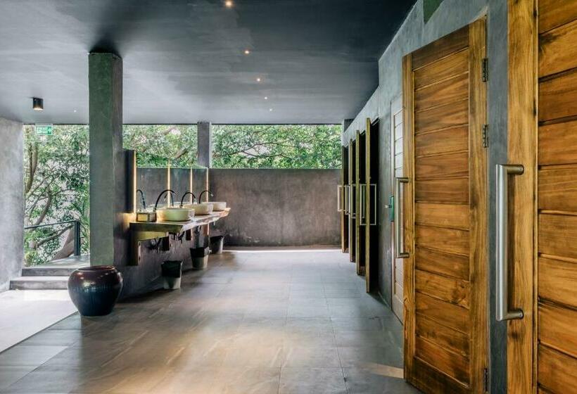 اتاق استاندارد یک نفره, Vikasa Yoga Retreat