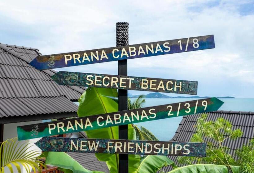 اتاق اساندارد با چشم‌انداز جانبی به دریا, Vikasa Yoga Retreat