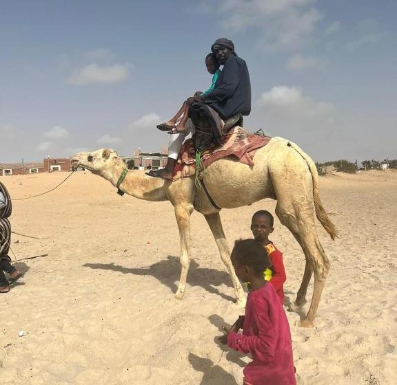 چادر با خدمات رفاهی استاندارد, Transit