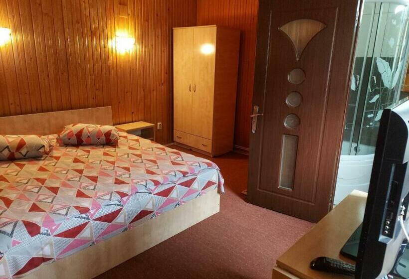 标准间, Pensiune Casa Barcaru