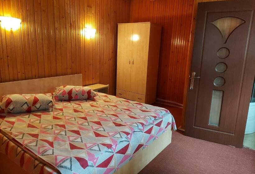 标准间, Pensiune Casa Barcaru