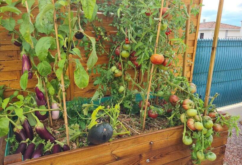 חדר משפחתי, Chambres D Hôtes B&b La Bergeronnette Avec Piscine Couverte Chauffée