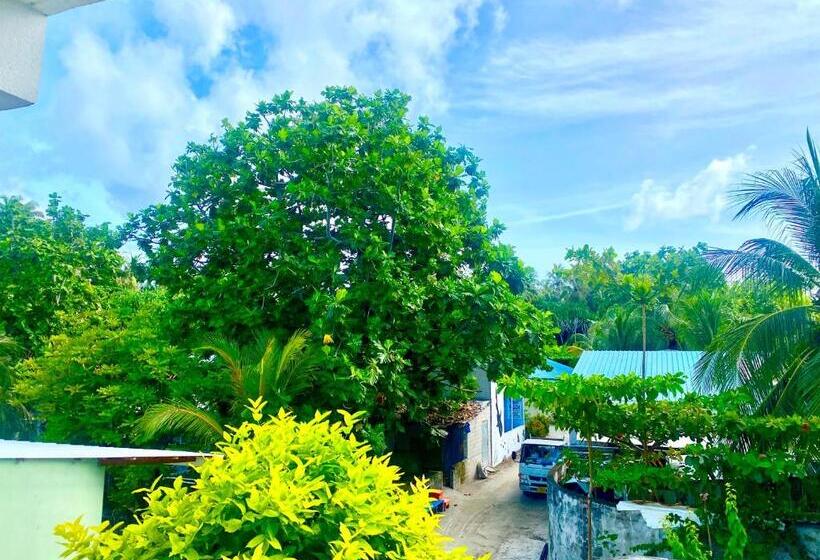 اتاق سوپریور با تخت بزرگ, Sands Grand