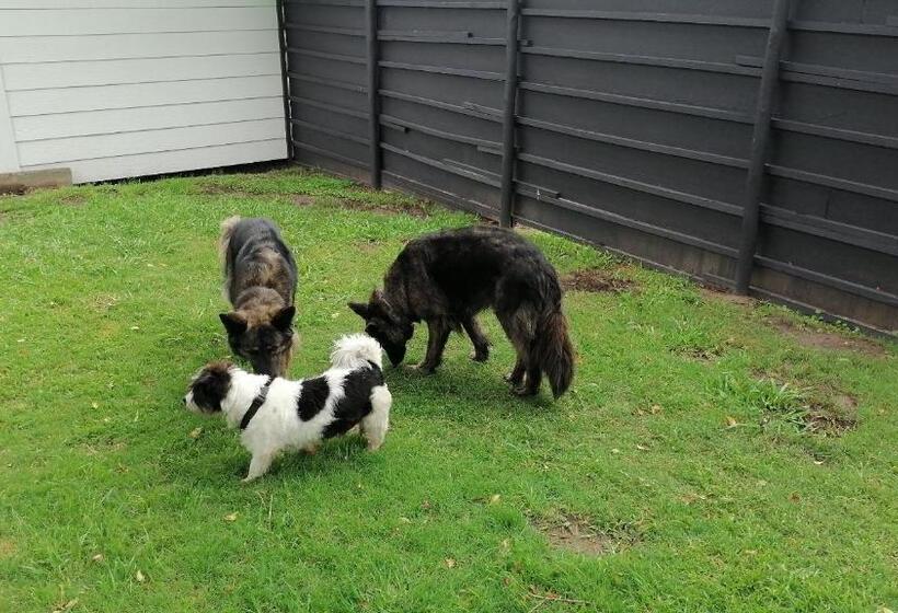 דירת חדר בקומת קרקע, 33 On Smuts Selborne