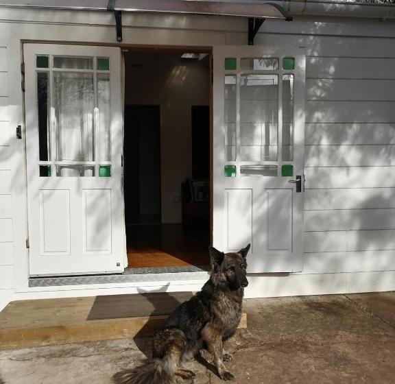 דירת חדר בקומת קרקע, 33 On Smuts Selborne