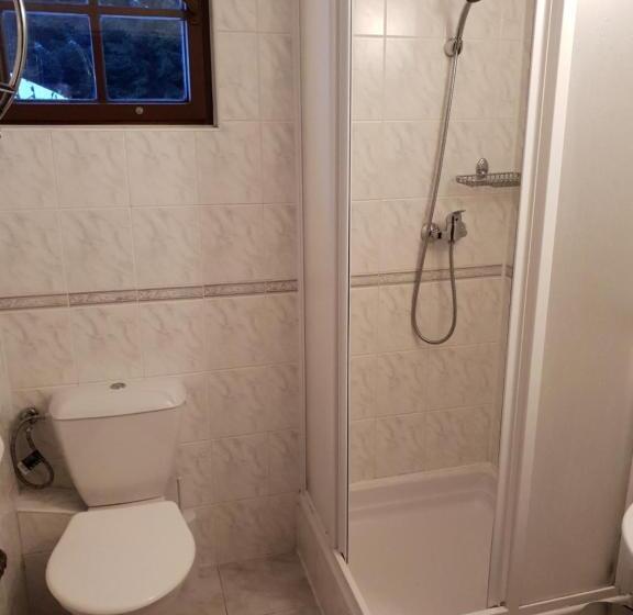 标准三人间, Penzión šafran