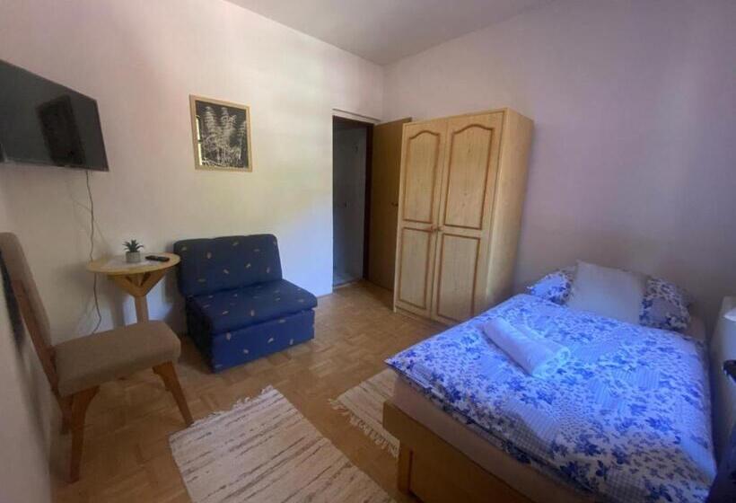 标准单人间, Penzión šafran