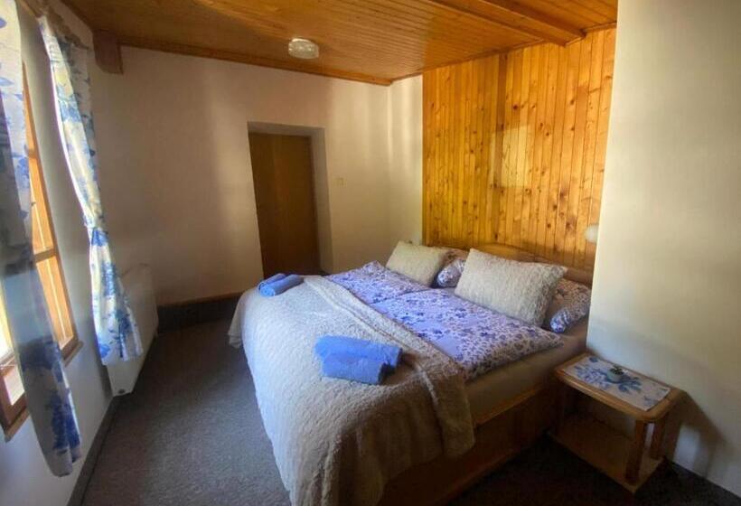 带1个卧室的经典公寓, Penzión šafran