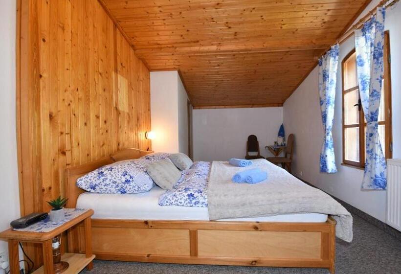 带1个卧室的经典公寓, Penzión šafran