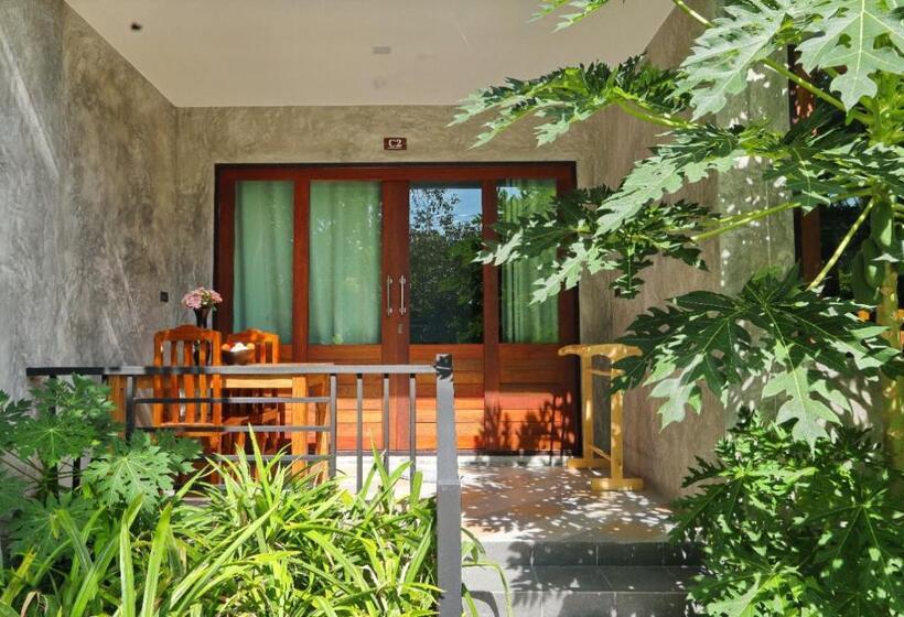 منزل غرفة نوم واحدة, The Zohan Resort & Travel Agency