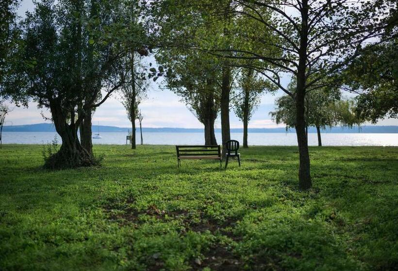 デラックスルーム, Lake&more