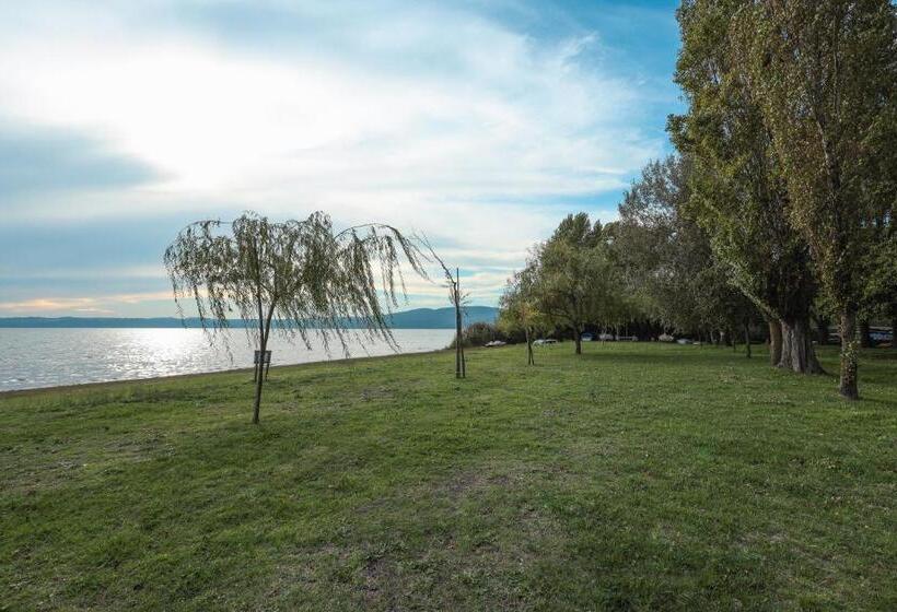 デラックスルーム, Lake&more