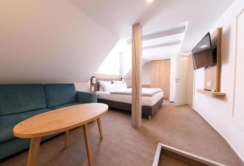 חדר סופריור, 24/7 Selfcheckin Schmiedestrasse