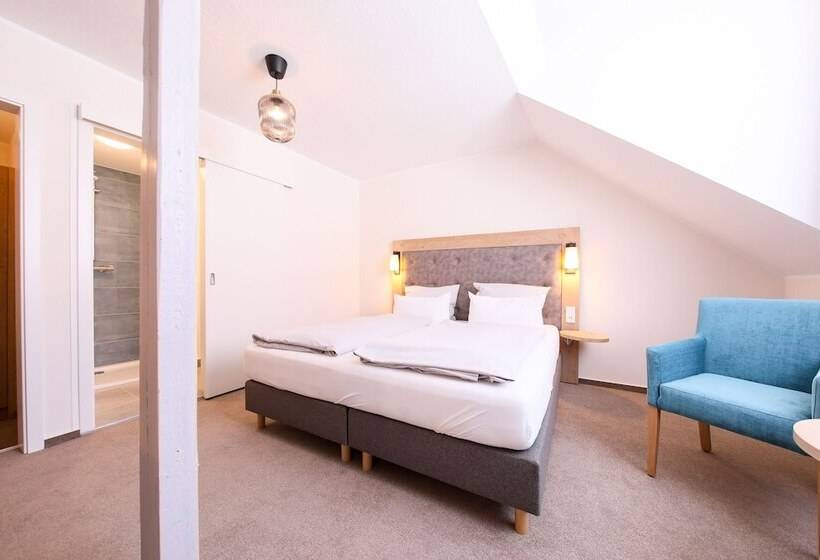 חדר סופריור, 24/7 Selfcheckin Schmiedestrasse