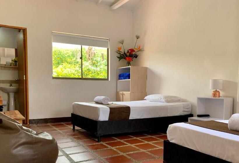 Номер Стандарт 2 Двуспальные Кровати, Csi Llanogrande