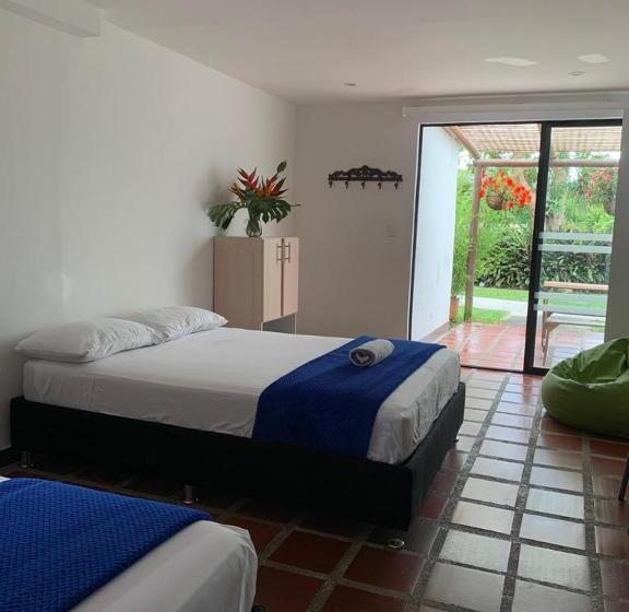 Family Suite, Csi Llanogrande