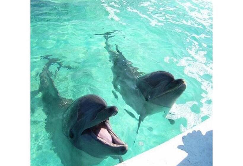 Студия Стандарт, Az Inn Handa Inter   Vacation Stay 69377v