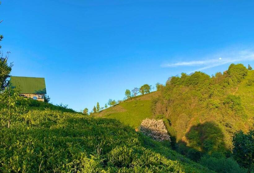 בקתה דלוקס, Luxury Bungalow With Barbecue1