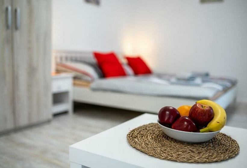 شقة غرفة واحدة مزودة بتراس, Penzion Kamenný Dvůr