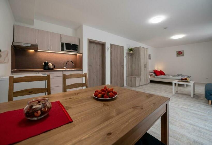 شقة غرفة واحدة مزودة بتراس, Penzion Kamenný Dvůr