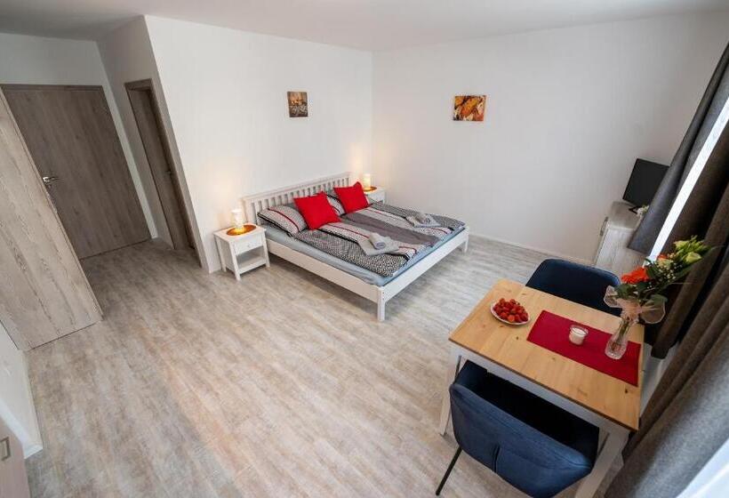 غرفة قياسية, Penzion Kamenný Dvůr