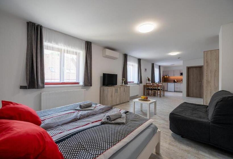 شقة غرفة واحدة مطلة على الحديقة, Penzion Kamenný Dvůr