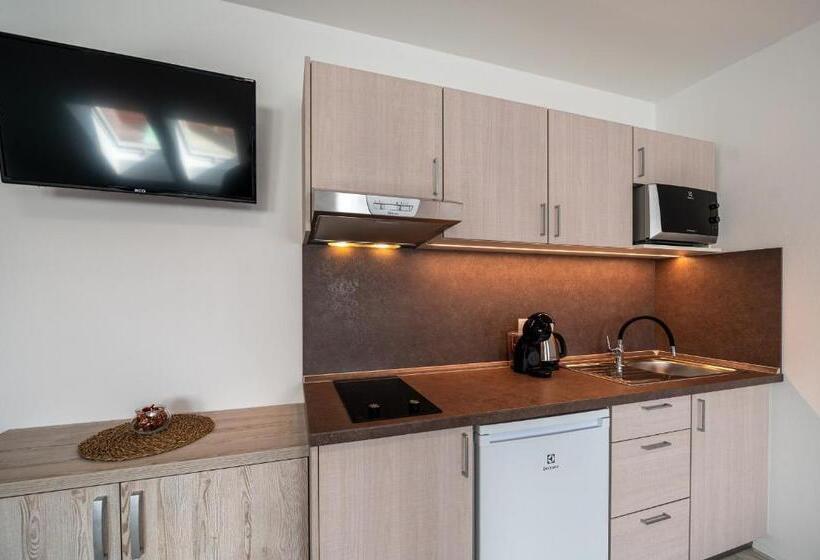 غرفة قياسية, Penzion Kamenný Dvůr